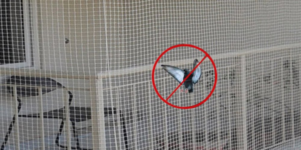 Healthcare Facility Design